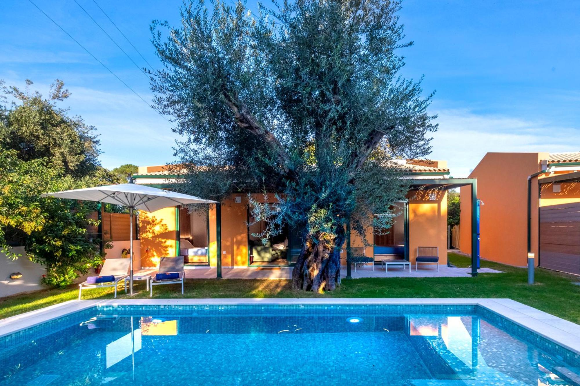 Galene Eco Luxury Villa *