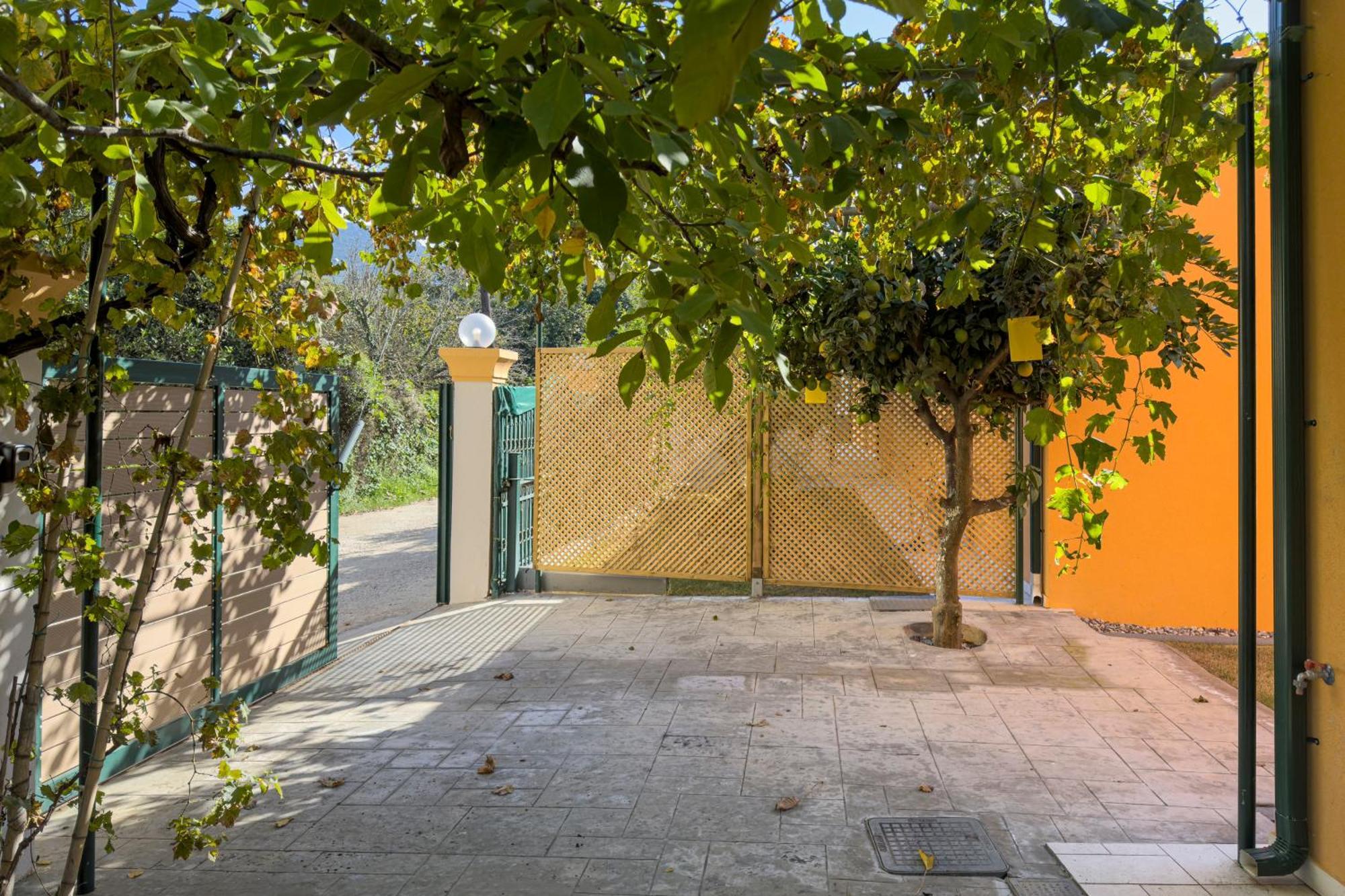Galene Eco Luxury * Acharavi (Corfu)
